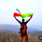 نیشتمان حسینی - @alanhosseini5 - Instagram