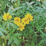 Alan host - @alan_258963 - Instagram