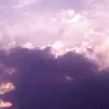 alannah_houle - @alannah_houle - TikTok