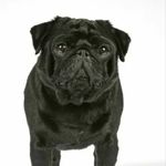 Brody alan houle - @brodyalanhoule - Instagram