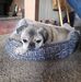 Allen Houser - Facebook