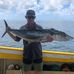 Alan Hoyle - Facebook
