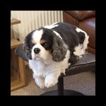 Alan Hoyle - @hoyle_alan - Instagram