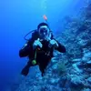 Alan Hudman - @alanhudman - TikTok