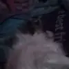 Alannah Hudson - @alannah.hudson7 - TikTok