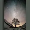 alanhudspith - @alanhudspith - TikTok