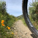 Alan Huff - @alan_huff - Instagram