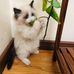 Alan Hui - Facebook