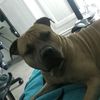 comersweek - @alan.huit01 - TikTok
