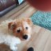 Alan Humble - Facebook