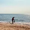 博士倫 - @alan.hung8 - TikTok
