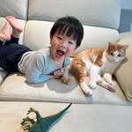 Alan Hung - @hung60182001 - Instagram