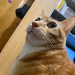 @alanhungggg - Instagram