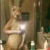 Alan Hurtado - @alan.hurtado71 - TikTok