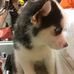 Alan Huskey - Facebook
