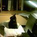 Allan Huxtable - Facebook