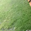 alanice - @momtok42 - TikTok