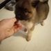 Alan Ingham - Facebook