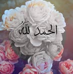 Alan Jamal - Facebook