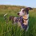 Alan McCurdy-Janusz - Facebook