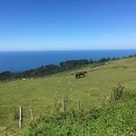 Alan Jennings - @alan.jennings1954 - Instagram