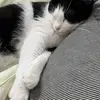 Alan Josue - @alan.josue687 - TikTok