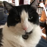 Alan Kahn - @popukaris - Instagram