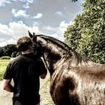 Alan Kalinowski - @_alan_kalino - Instagram