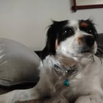 Alan Kalinowski - @smerak1 - Instagram
