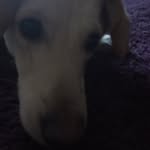 alan kalinowski - @kalinowski292 - Instagram
