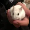 Alan kaster - @alan.kaster - TikTok
