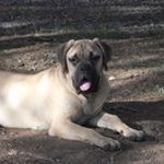 Alan Keller - @alan_keller2000 - Instagram