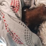 alan keller - @alan_kaue_martin_keller - Instagram