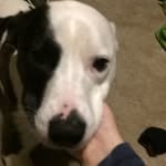 Tyler Kimbrell - @tyler_alan_kimbrell - Instagram