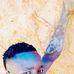 Alain Kanla - Facebook
