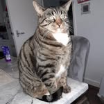 Alan Kinney - @alan.kinney.777 - Instagram