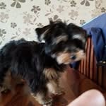 Alan Kinsey - @alan_kinsey - Instagram