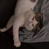 alan_kinsey - @alan_kinsey - TikTok