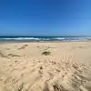 Alana Kirkland - @alana.kirkland - TikTok