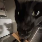 Alan - @alan_kitchensink - Instagram