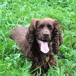Alan Kitchen - @rustiemini1 - Instagram