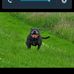 Alan Kittle - Facebook