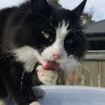 Alan - @alan_kitty - Instagram