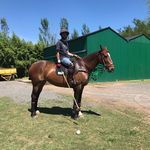 Alan Kleiman - @untalcachorro - Instagram