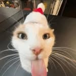 Алан Кл - @alanklemans - Instagram