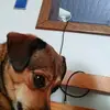 alankluska967 - @alankluska967 - TikTok