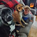 Alan Knee - @aknee112 - Instagram