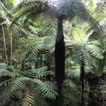 Alan Knobloch - @alanknoblochsunshinecoast - Instagram