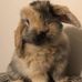 Alan Knop - Facebook