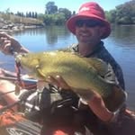 Alan Knott - @alanknott78 - Instagram